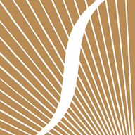 Sunvest Digital logo