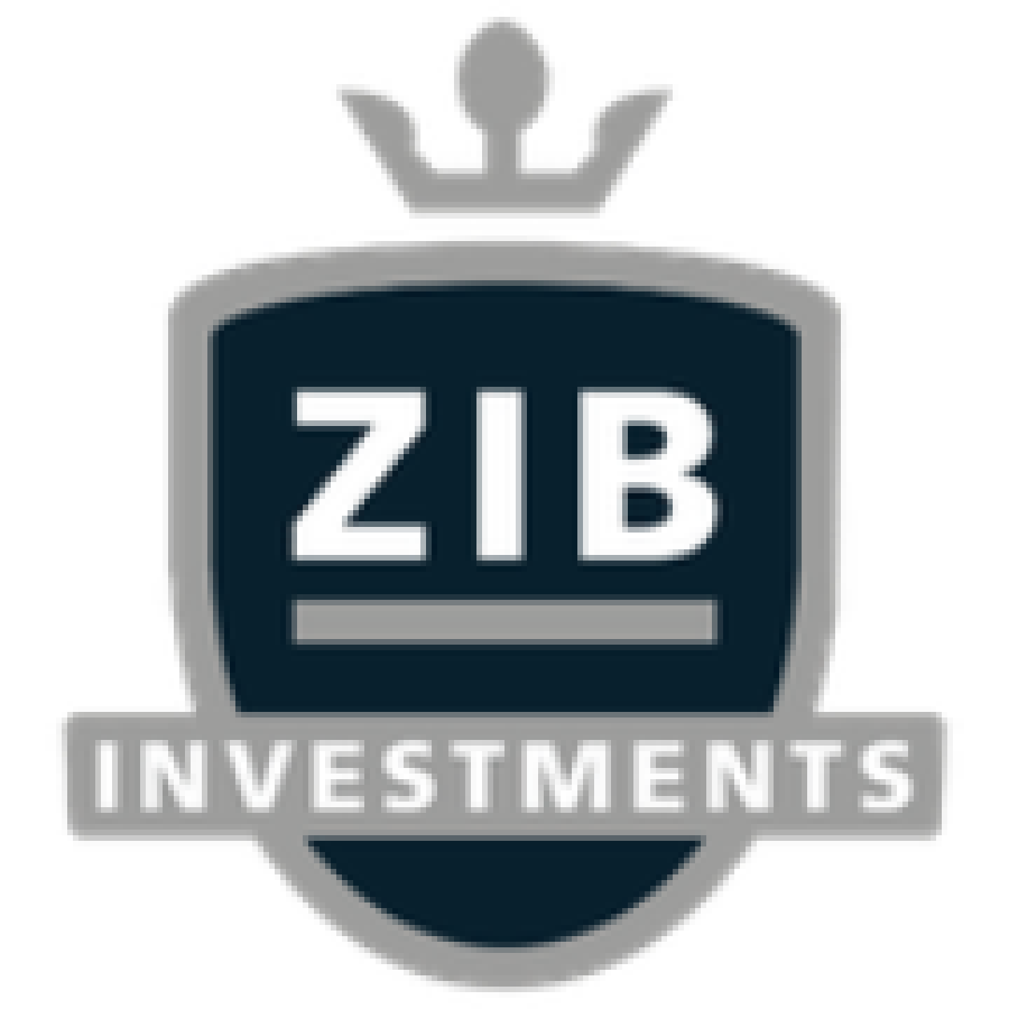 Zibinvestments logo